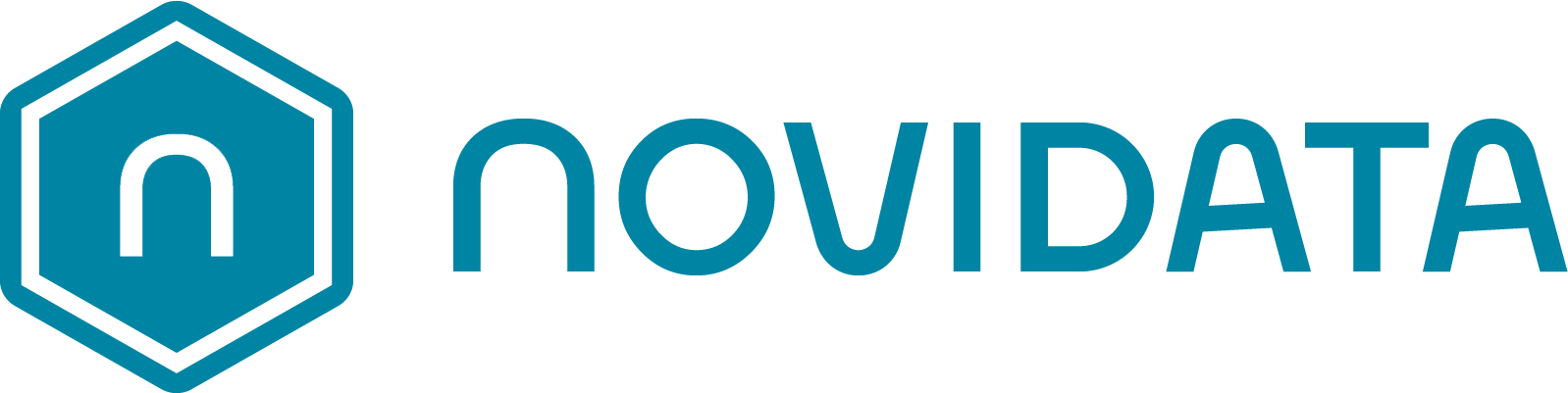 NOVIDATA Logo
